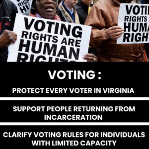 Voting Rights are human rights
