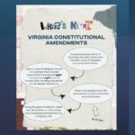 What's next for constitutional amendments